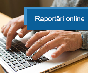 Raportari online